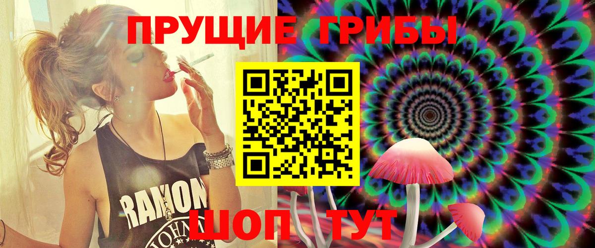 Галлюциногенные грибы Psilocybine cubensis Таганрог