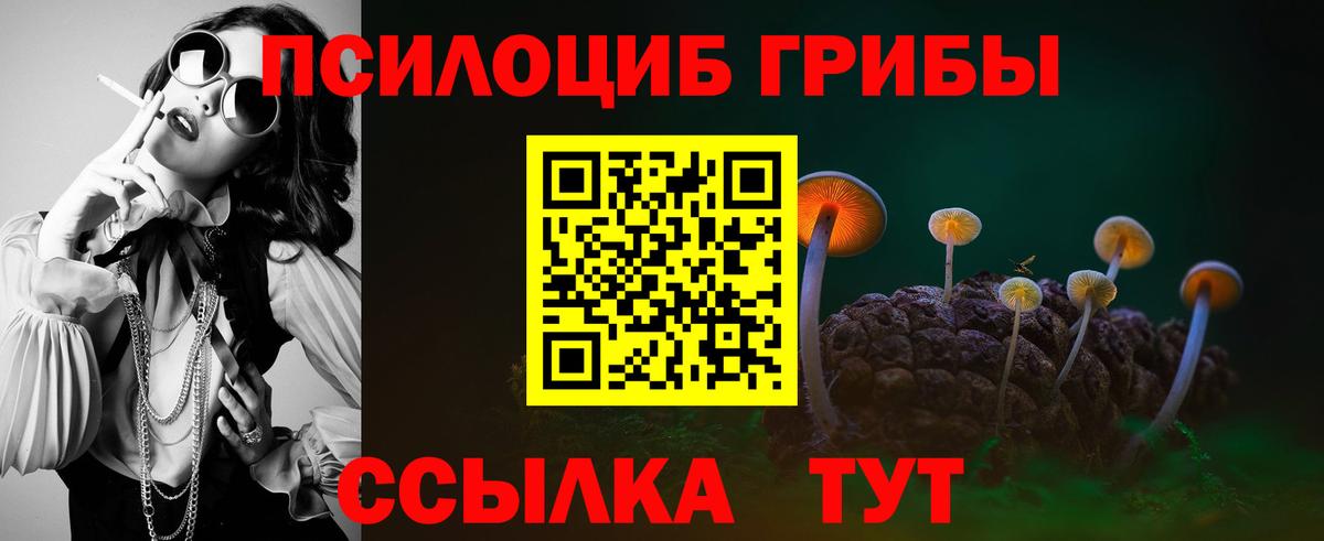 Псилоцибиновые грибы Magic Shrooms  Вход с VPN  Псилоцибиновые грибы Magic Shrooms  Таганрог 