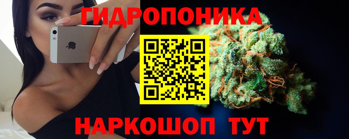 Марихуана планчик Таганрог